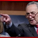 Schumer Claims Voter ID “Jim Crow,” Is Floored That 71% Dem Support It