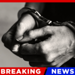 NYC Mayoral Candidate Brad Lander Arrested After Assaulting ICE Agents During Court Incident
