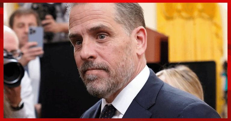 Hunter Biden Says Dems Lost Despite ‘Incredibly Successful’ Presidency