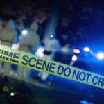 Sanctuary New York City Report Claims Three-Quarters of Violent Crimes Committed by Illegals