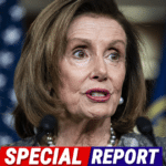 Former Speaker Nancy Pelosi Supports Making Illegal Immigrants “Documented”