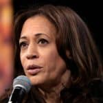 A Significant Number of Americans Believe the Democrat Party Was Unfair in Selecting Kamala Harris