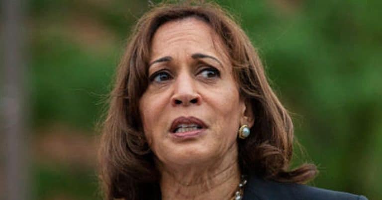 Kamala Harris Embroiled in Plagiarism Scandal: Report Show Multiple Examples in Her Work