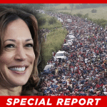 Former Border Chief Claims Kamala Harris Never Spoke to Him: “Absolutely Not”