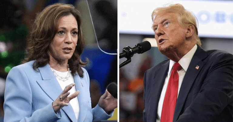 Kamala Harris Gets More Concerning, Accurate Picture of 2024 Race in New Poll