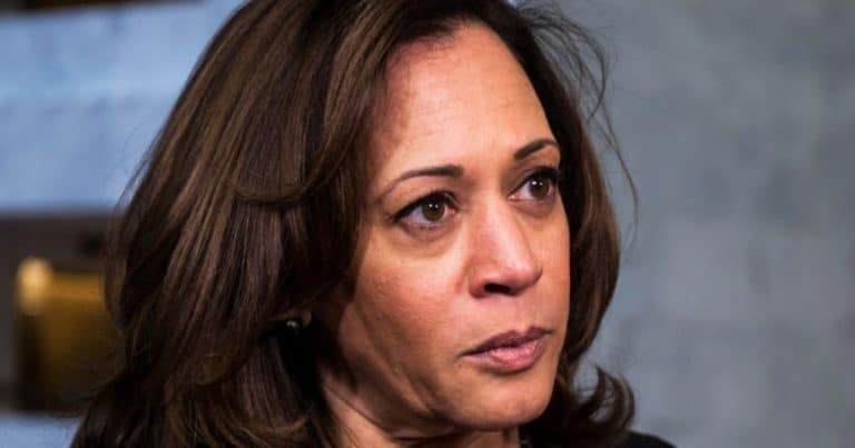 Kamala Harris Comes Unglued When Confronted About Her Own Border Fails