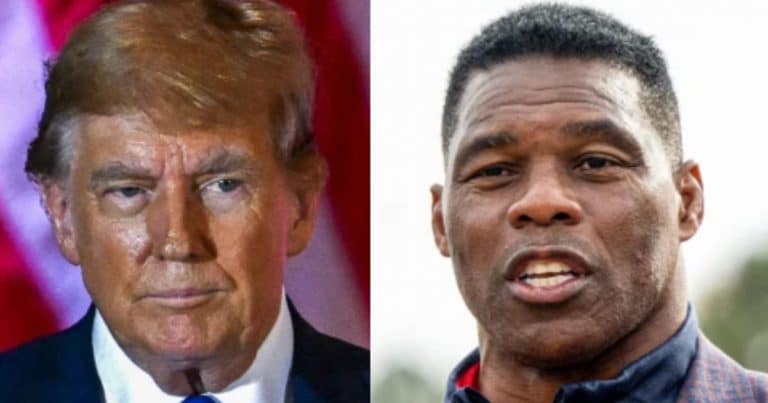 NFL Legend Herschel Walker Tapped for Major Role in Trump Administration