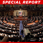 Over 100 Democrats Voted Against House Resolution Condemning Antisemitic Boulder Attack
