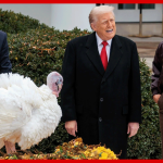 Trump Declares Biden’s 2024 Turkey Pardons ‘Null And Void’ Over Autopen Use