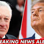 Robert De Niro Calls President Trump ‘Enemy of This Country,’ Urges Resistance