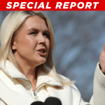 White House Press Secretary Karoline Leavitt Blasts Anti-ICE Celebrities Over Hypocrisy