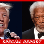 Morgan Freeman Compares Trump Administration to Nazi Germany in Television Interview