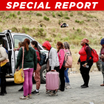 Circuit Appeals Court Allows Trump to Speed Up Illegal Alien Deportations in Huge Win