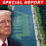 Former Olympian Accused of Vandalizing Lincoln Reflecting Pool, Trump Vows Hard Justice