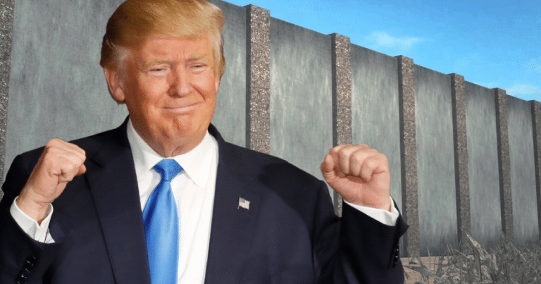 Donald Surprises American Taxpayers With $114.2 Billion From Border Wall Savings