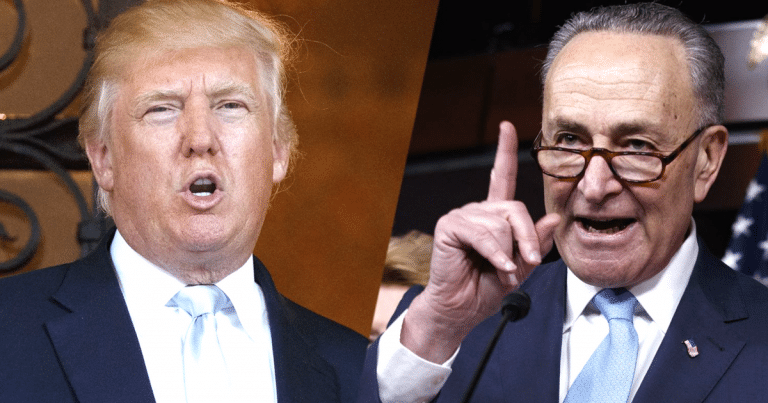Donald Takes Away Democrats’ Most Prized Possession. Chuck Schumer Can’t Stop Him