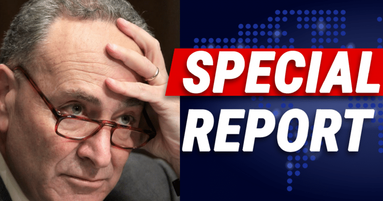 Senate Democrats Just Turned On Chuck Schumer – He Gets Grilled In Conference Call Over Failure To Take Senate