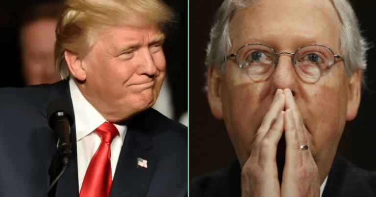 Mitch McConnell Is Scrambling After Donald’s Border Wall Announcement