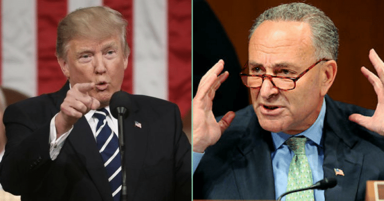Trump Reveals Earth-Shattering Solution If Dems Refuse To Pass Border Security
