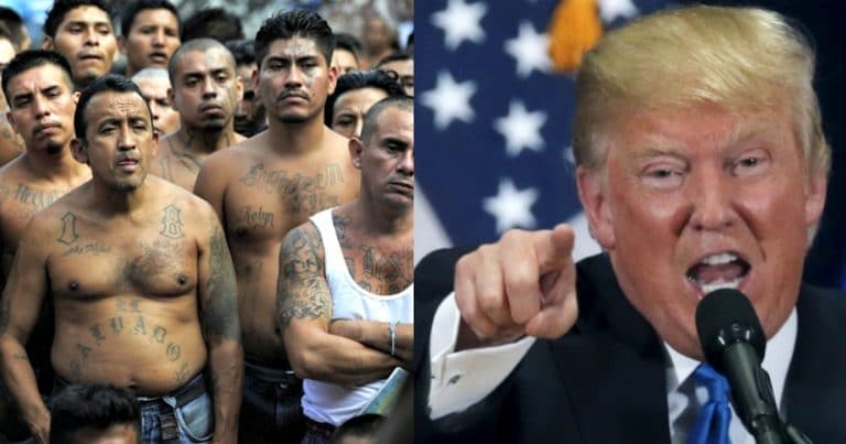 Trump Takes MASSIVE Action Against Illegals—Democrats Are Panicking!