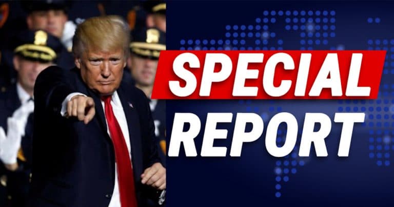 Trump Unloads During Fox Segment – Names The Trio That Betrayed America