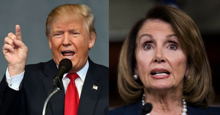 Donald Slaps Nancy Pelosi With A New Nickname, And It’s Right On The Money