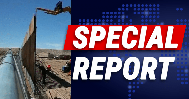 Men Get Stuck Climbing Trump’s Border Wall – Images Show It Didn’t End Well For Them