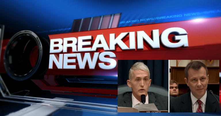 Trey Gowdy Unleashes On Democrat FBI Agent Strzok: “I Don’t Give A D…