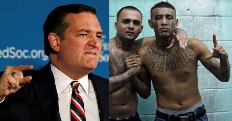 Illegal Alien Thinks He’s Above The Law – So Ted Cruz Drops A Huge TRUTH BOMB
