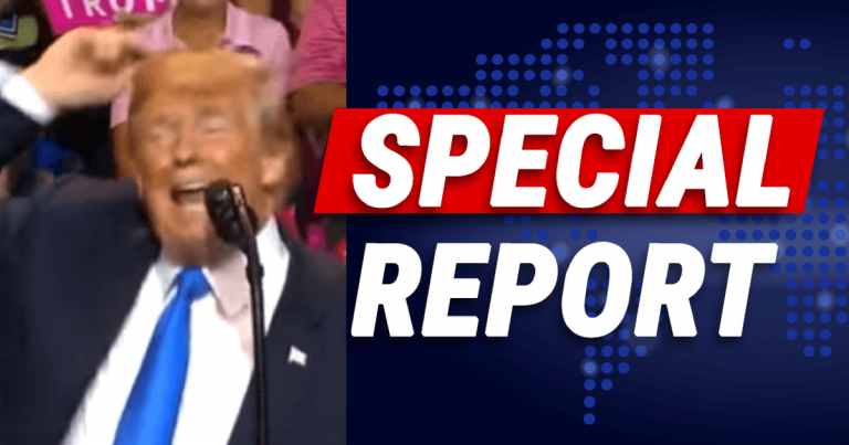 Donald’s Perfect Impression Of Top Democrat Has Packed Rally Cheering
