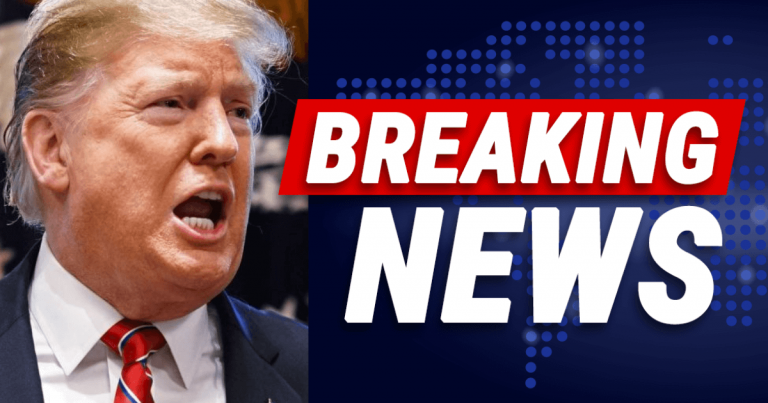 Trump Blindsides Congress – Swings Executive Hammer On Wall Funding