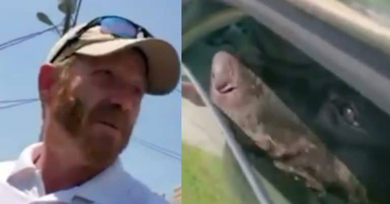 Army Vet Spots Puppy Trapped Inside Overheating Car – Then He Leaps Into Action