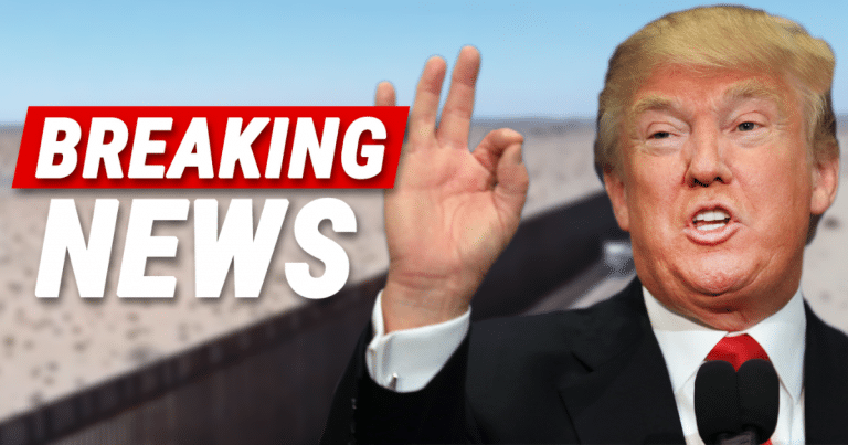 After Trump Promises To Build The Wall – Border Patrol Says ‘Yes Sir’ And Releases Footage Of 60 Miles Of New Wall