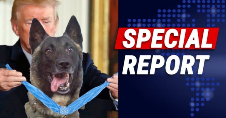 After Trump Honors Injured Hero Dog – He Tells Press “If You Open Your Mouths, You Will Be Attacked”
