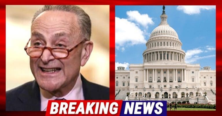 Hours After Schumer Calls On Democrats To ‘Take Georgia’ – Republicans Draw The ‘Last Line Of Defense Against Socialism’