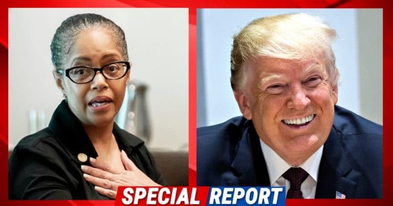 After Dem Michigan Lawmaker Sides With Trump – Her Own Party Calls For Her To Be Censured, Donald Invites Her To Switch Sides