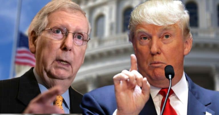 Trump Gives Mitch McConnell a Direct Order – He Claims Minority Leader is a Democrat Pawn, Demands Firing and Prosecution
