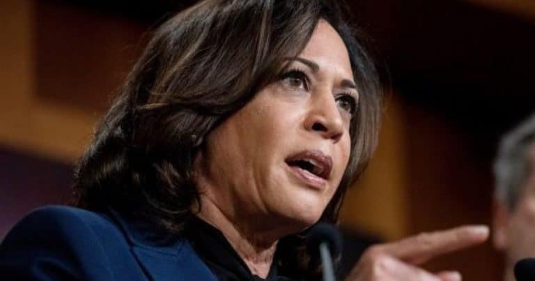 Kamala Harris Turns Heads with ‘Call to Fight’ – On Live TV, the Vice President Tells Supporters to “Fight It in the Streets”