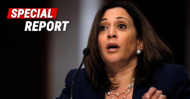 Kamala Served Impeachment Articles – She’s Charged Over Immigration Law and Misleading on Biden