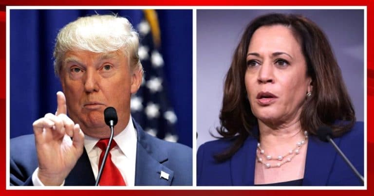 Kamala Harris Underperforms in New Polls – And Trump Is Poised to Win Big in 2024