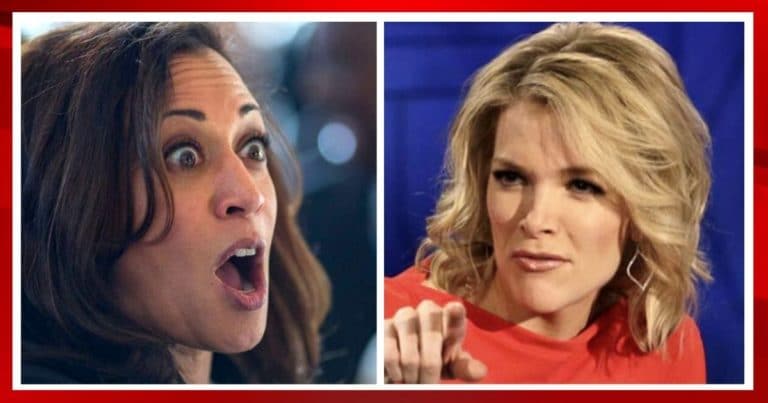 After Kamala Harris Praises Jacob Blake – Megyn Kelly Drills The VP Pick: How About Blake’s Victim