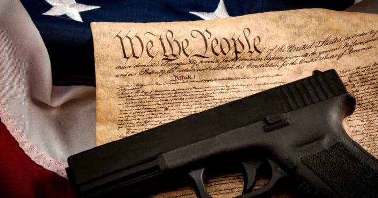 2nd Amendment Could Be in Jeopardy – Michael Moore’s 28th Amendment Would Repeal and Replace