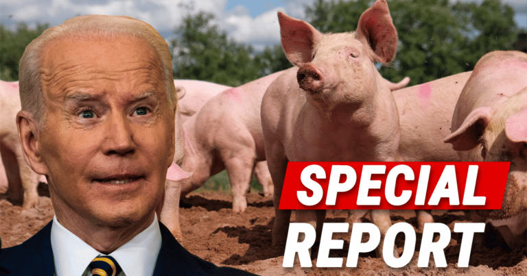 Biden’s Pork Case Hits the Supreme Court – Joe Faces Off in Major Showdown Against Blue State California