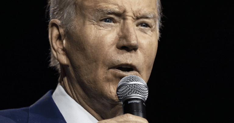 Biden Outed for Wild Bridge Claim – Americans Just Fact-Checked Joe in Realtime