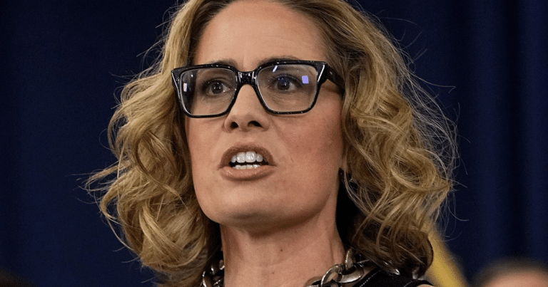 Sinema Slams Democrats Over Sneaky Trick – Reveals They Spent Border Funds on 1 Stunning Cost