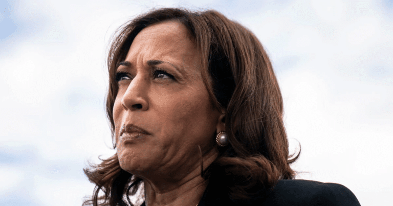 Kamala’s Border Failure Gets New Focus – She Hasn’t Even Spoken to New Border Patrol Chief