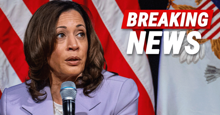 Kamala’s Has a $1 Billion Problem: Her Campaign Spending Is Not Moving the Polls